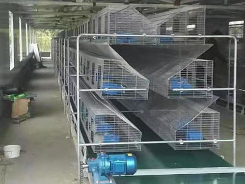 福清子母兔子籠批發(fā) 云蒙湖籠具廠歐式兔籠與鞋帽批發(fā)的跨界商機